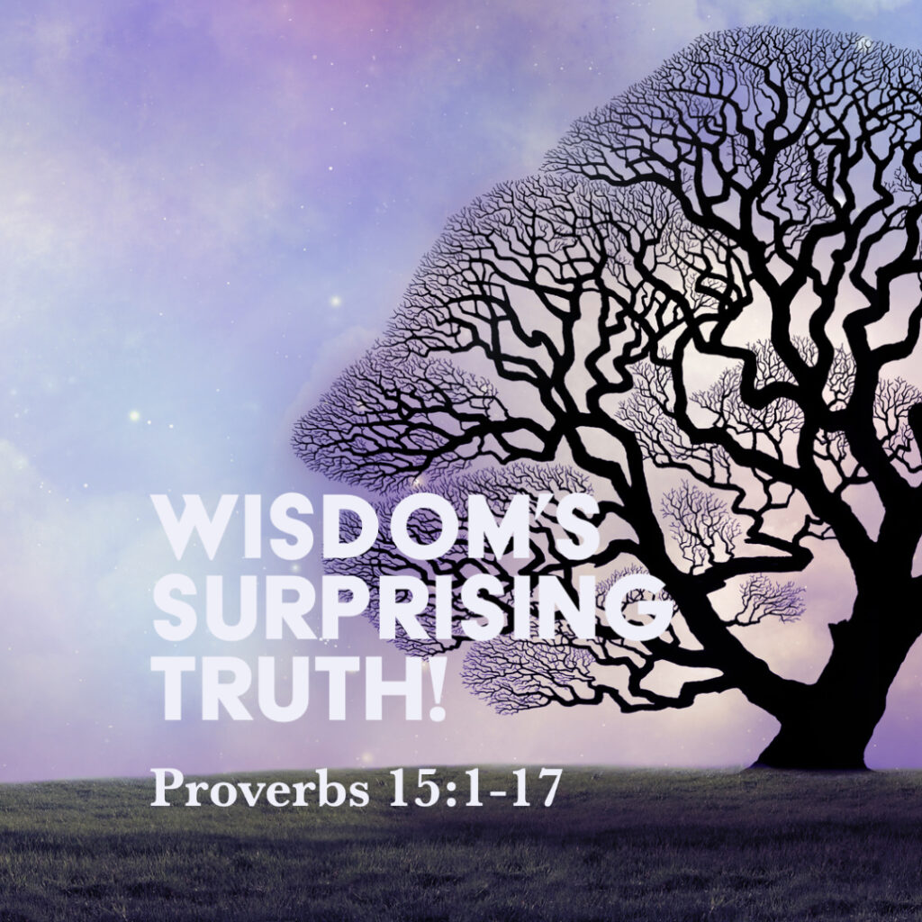 Proverbs 15 1 17 Wisdoms Surprising Truth God Centered Life