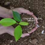 James 3:13-18: Growing in Wisdom – God Centered Life