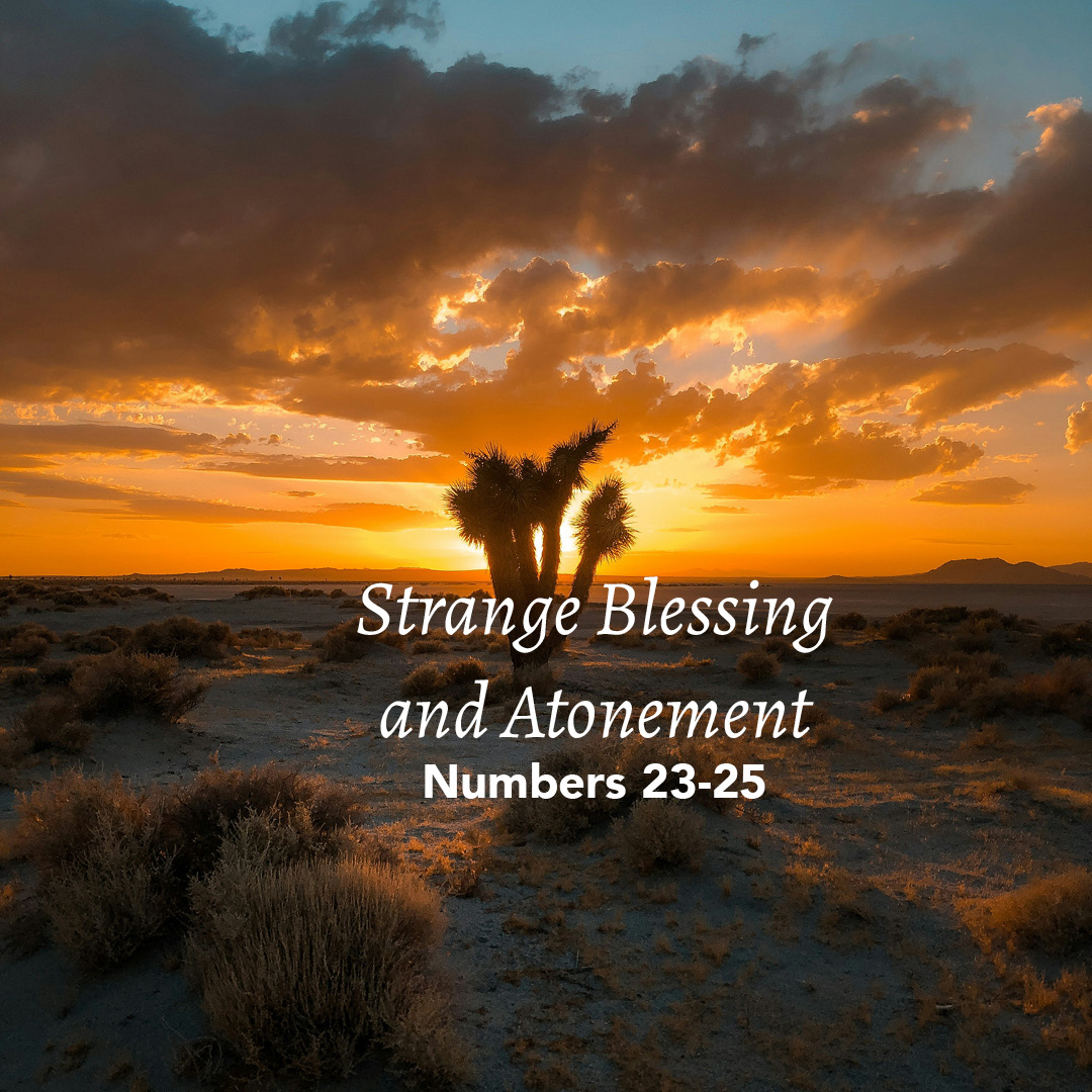Numbers 2350 Numbers 23-25: Strange Blessing and Atonement - God Centered Life