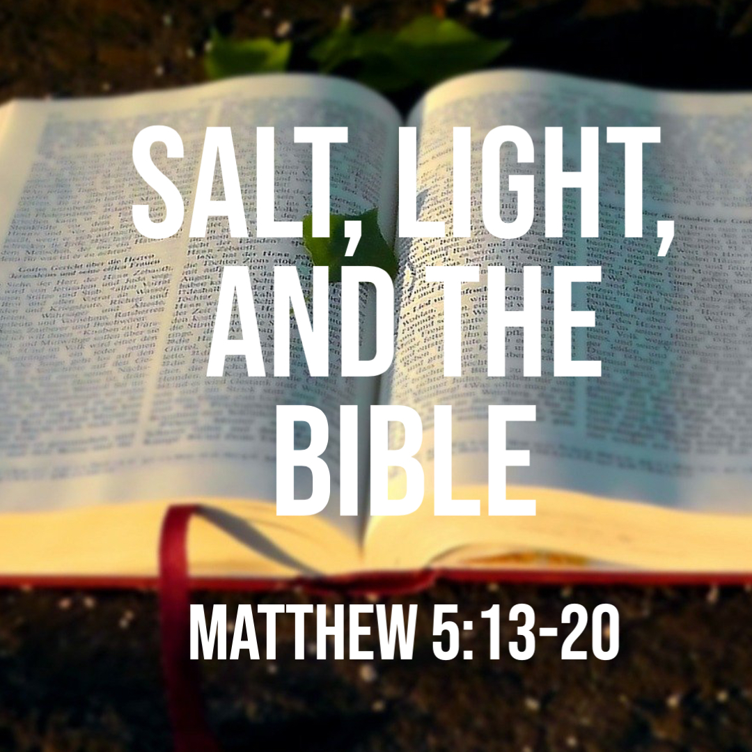 Matthew 51320 Salt, Light, and the Bible God Centered