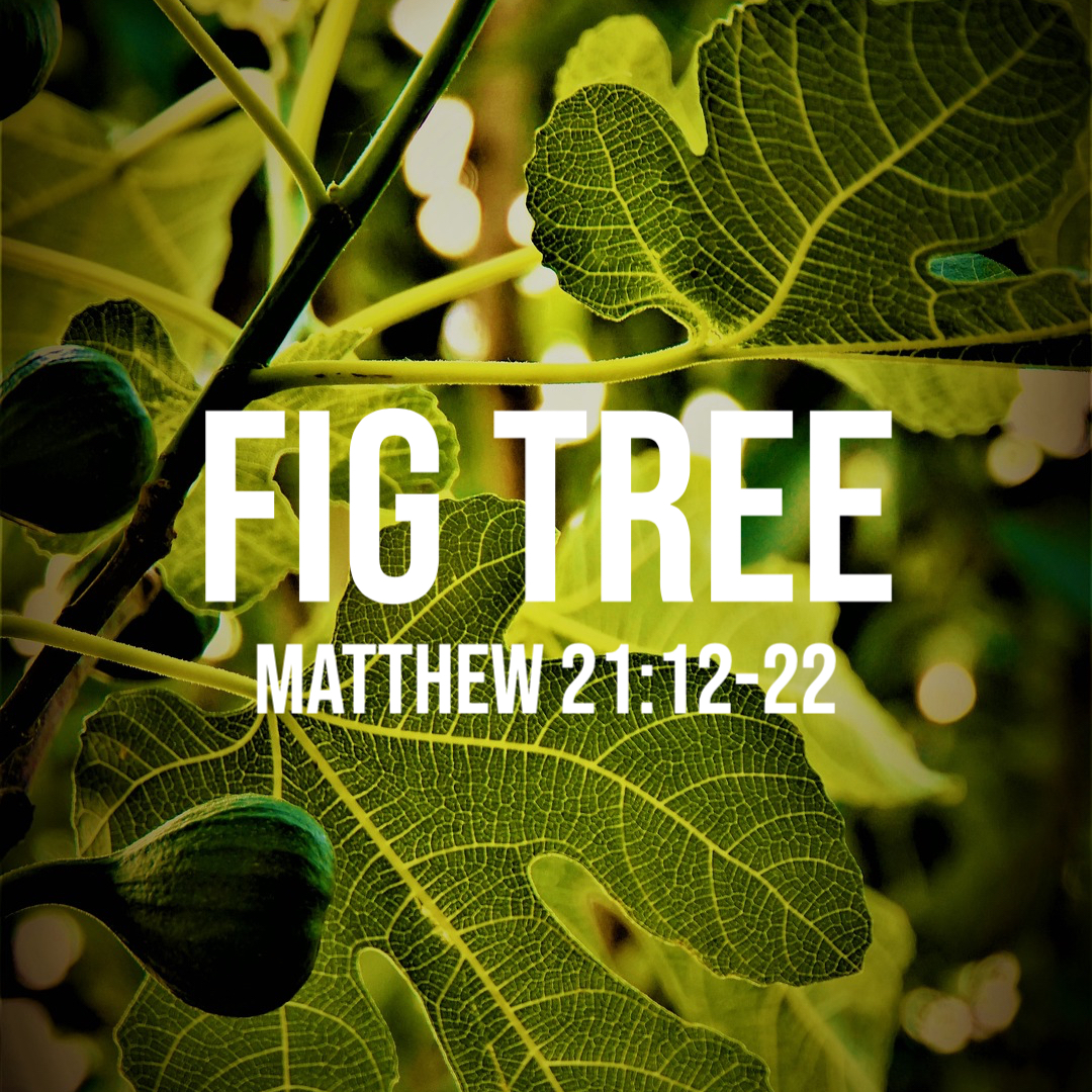 Matthew 211222 Fig Tree God Centered Life
