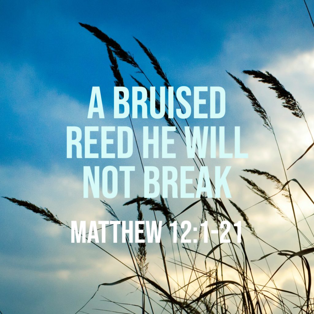 Matthew 12:1-21: A Bruised Reed He Will Not Break – God Centered Life