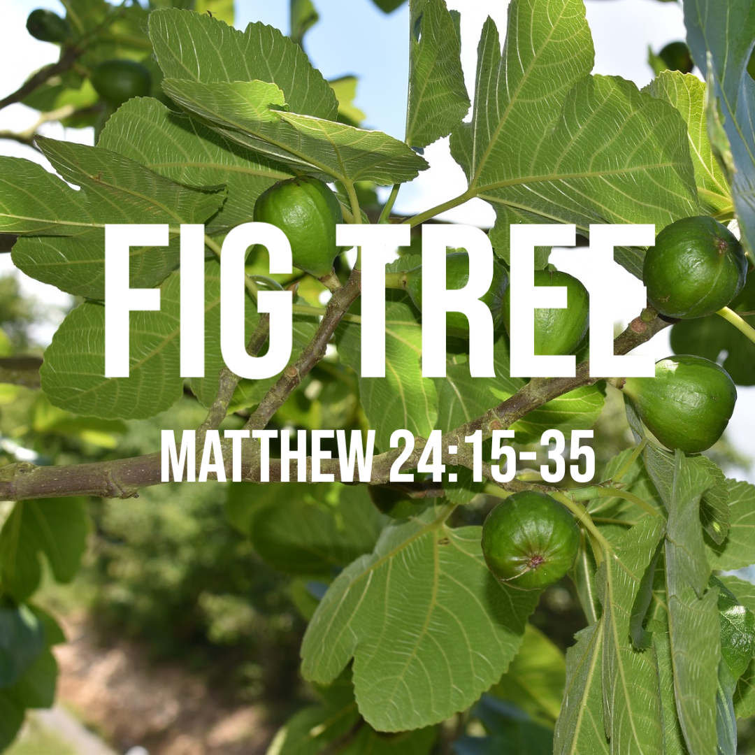 matthew-24-15-35-fig-tree-god-centered-life