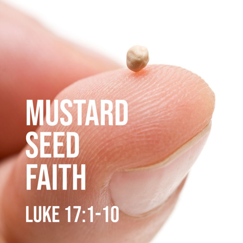 Luke 17110 Mustard Seed Faith God Centered Life