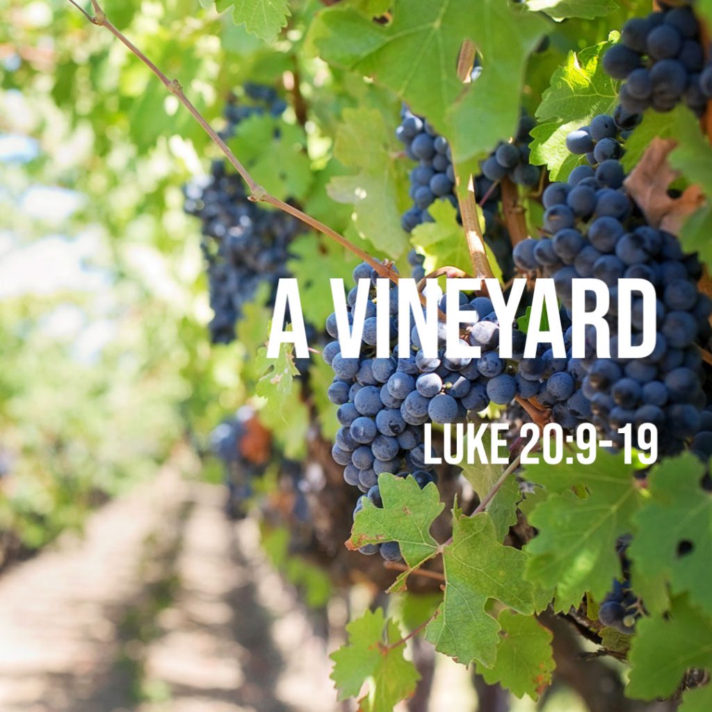 Luke 20:9-19: A Vineyard – God Centered Life