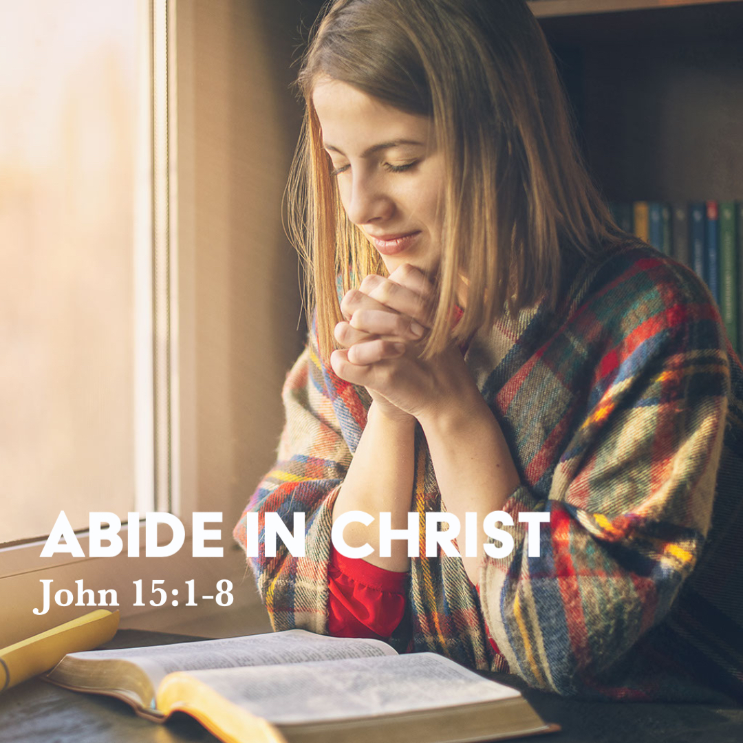 john-15-1-8-abide-in-christ-god-centered-life