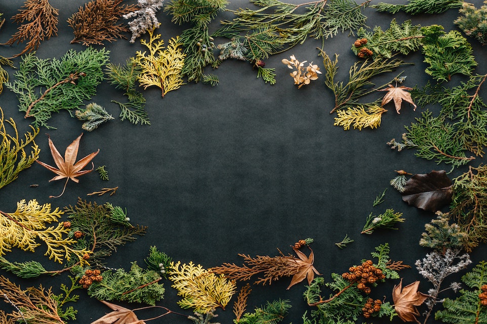 erol-ahmed-IHL-Jbawvvo-unsplash erol-ahmed-IHL-Jbawvvo-unsplash