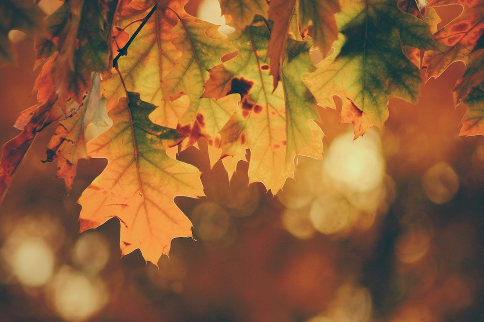 timothy-eberly-yuiJO6bvHi4-unsplash timothy-eberly-yuiJO6bvHi4-unsplash