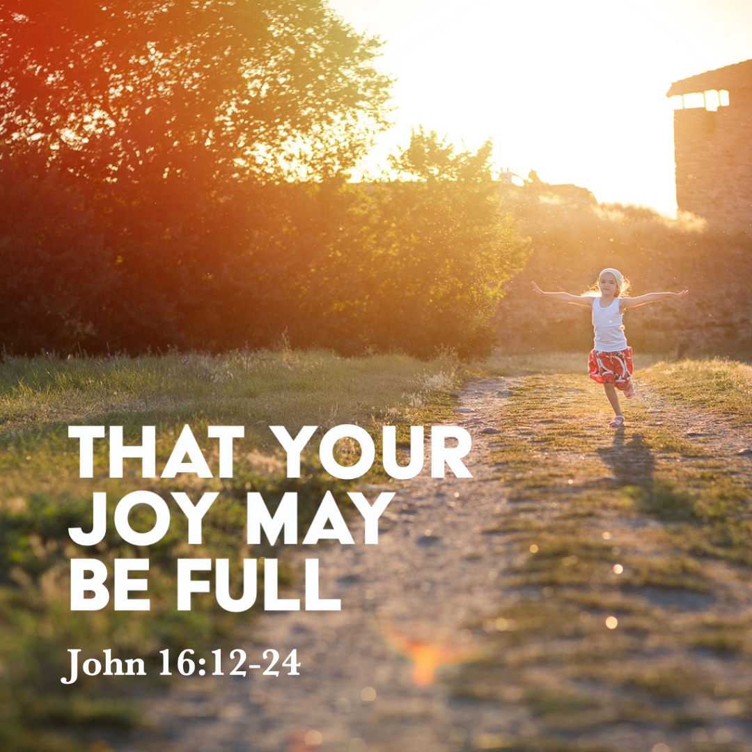 John 161224 That Your Joy May Be Full God Centered Life