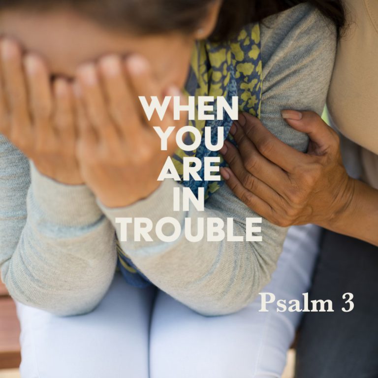 Psalm 3 When You Are in Trouble God Centered Life