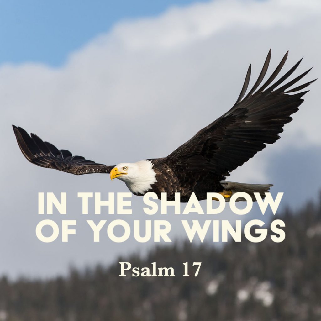 in the shadow of your wings psalm
