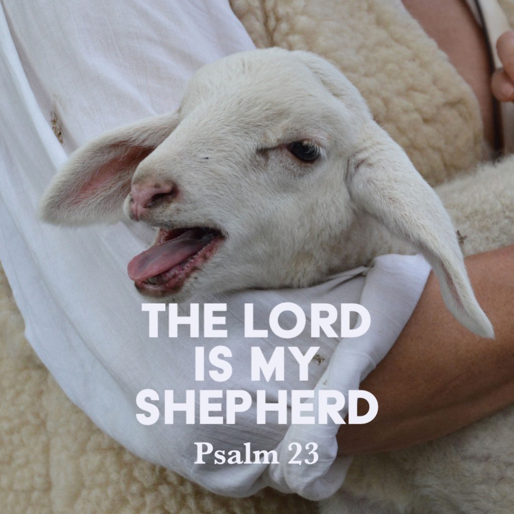 psalm-23-the-lord-is-my-shepherd-god-centered-life