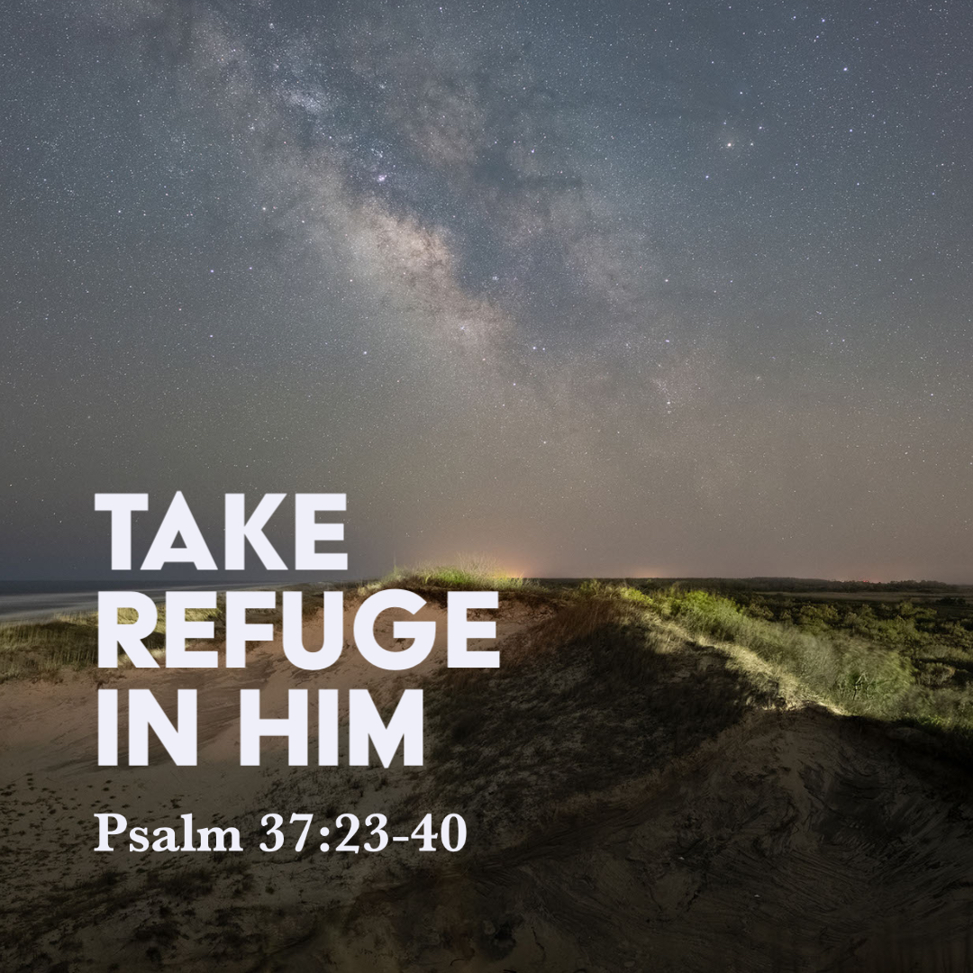 Psalm 37 23 40 Take Refuge In Him God Centered Life psalm-37-23-40-take-refuge-in-him-god-centered-life