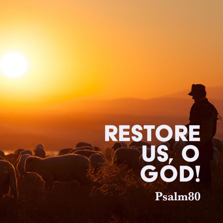 Psalm 80 Restore Us O God God Centered Life