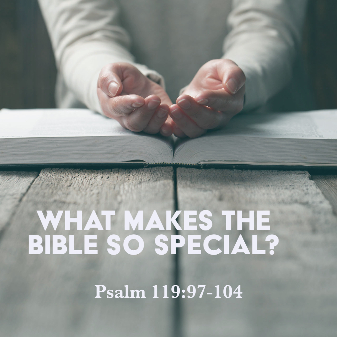 Psalm 11997104 What Makes the Bible So Special? God Centered Life