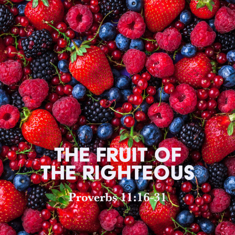 Proverbs 11:16-31: The Fruit of the Righteous – God Centered Life