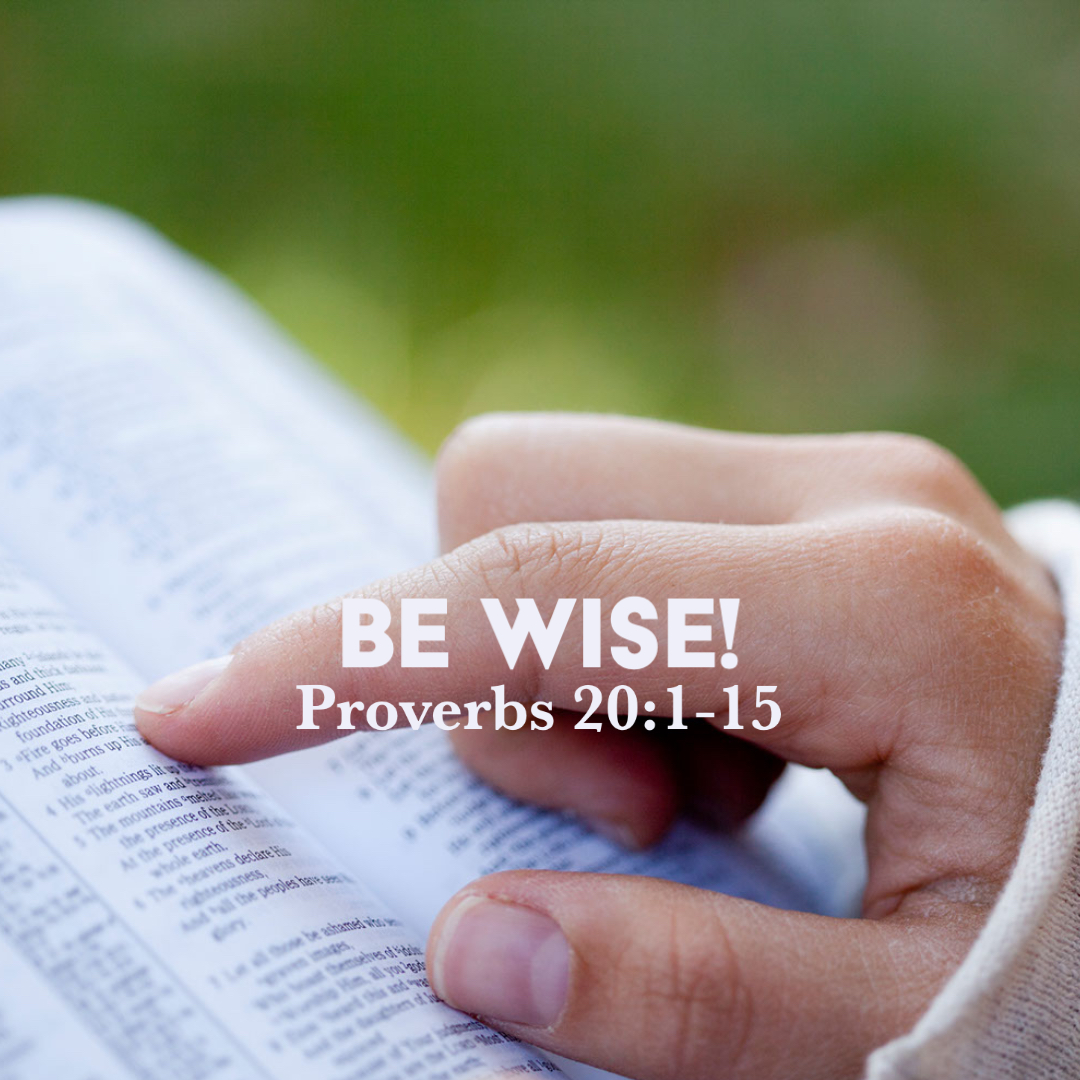 proverbs-20-1-15-be-wise-god-centered-life