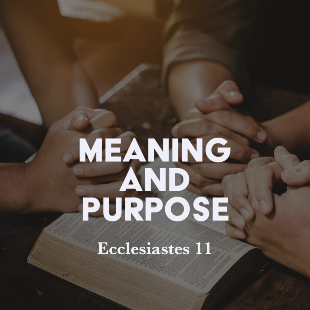 Ecclesiastes 11: Meaning and Purpose – God Centered Life