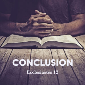 The Ecclesiastes principle: Learning lessons of the past