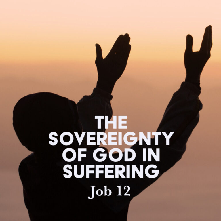 Job 12 The Sovereignty of God in Suffering God Centered Life