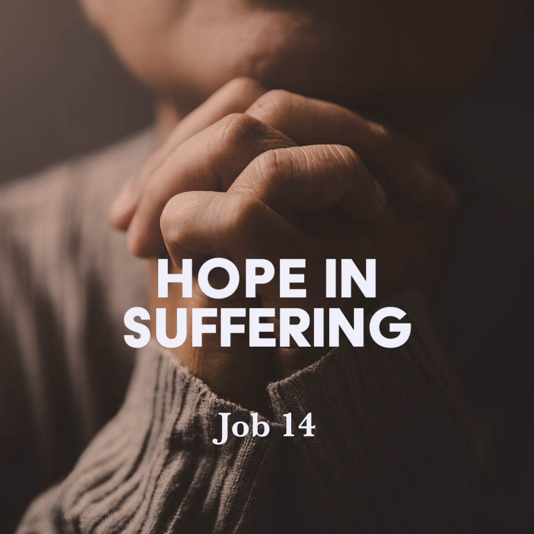 job-14-hope-in-suffering-god-centered-life
