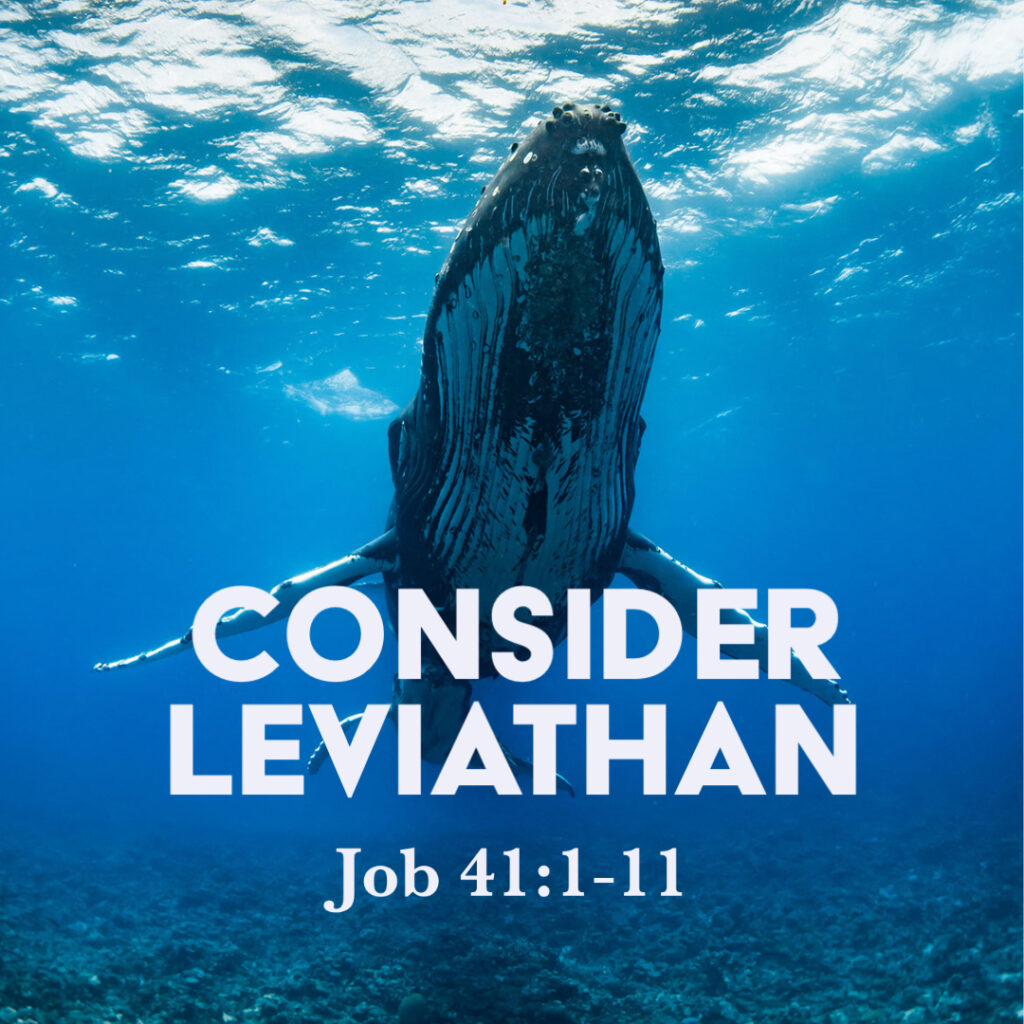 Job 41 1 11 Consider Leviathan God Centered Life