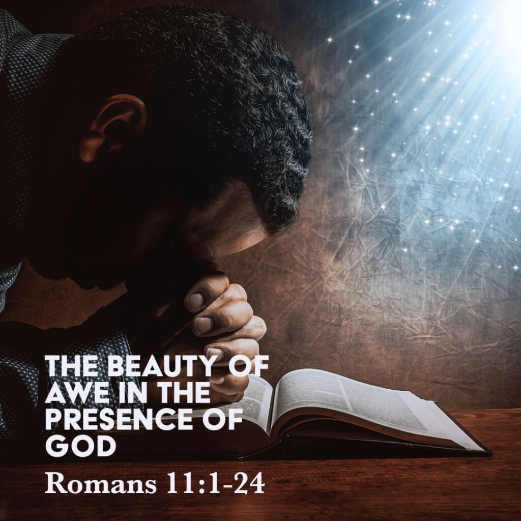 Romans 11 1 24 The Beauty Of Awe In The Presence Of God God Centered romans-11-1-24-the-beauty-of-awe-in-the-presence-of-god-god-centered