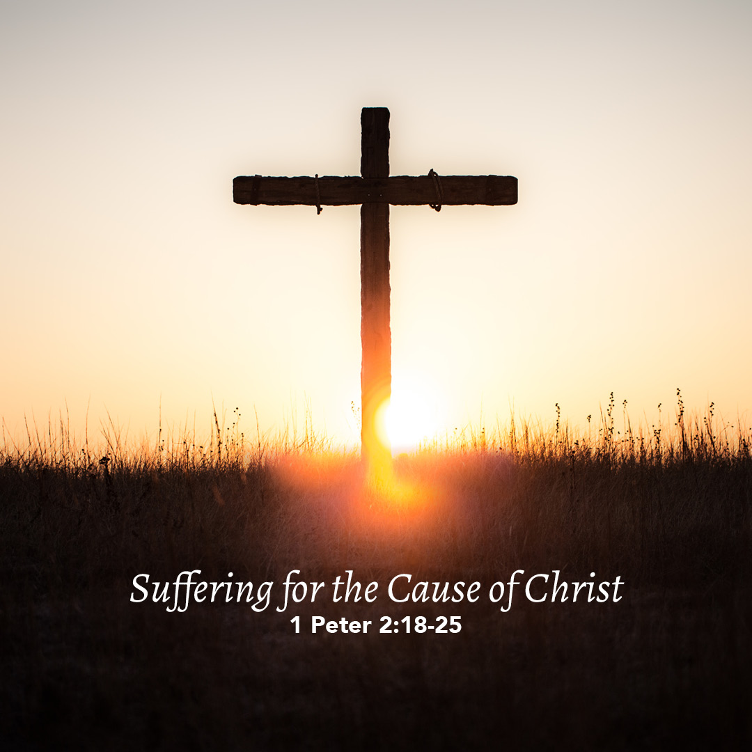 1-peter-2-18-25-suffering-for-the-cause-of-christ-god-centered-life