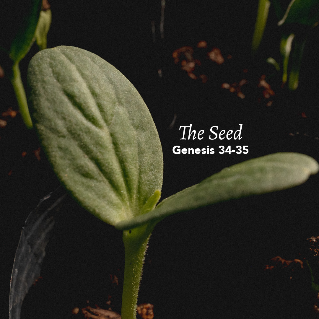 genesis-34-35-the-seed-god-centered-life