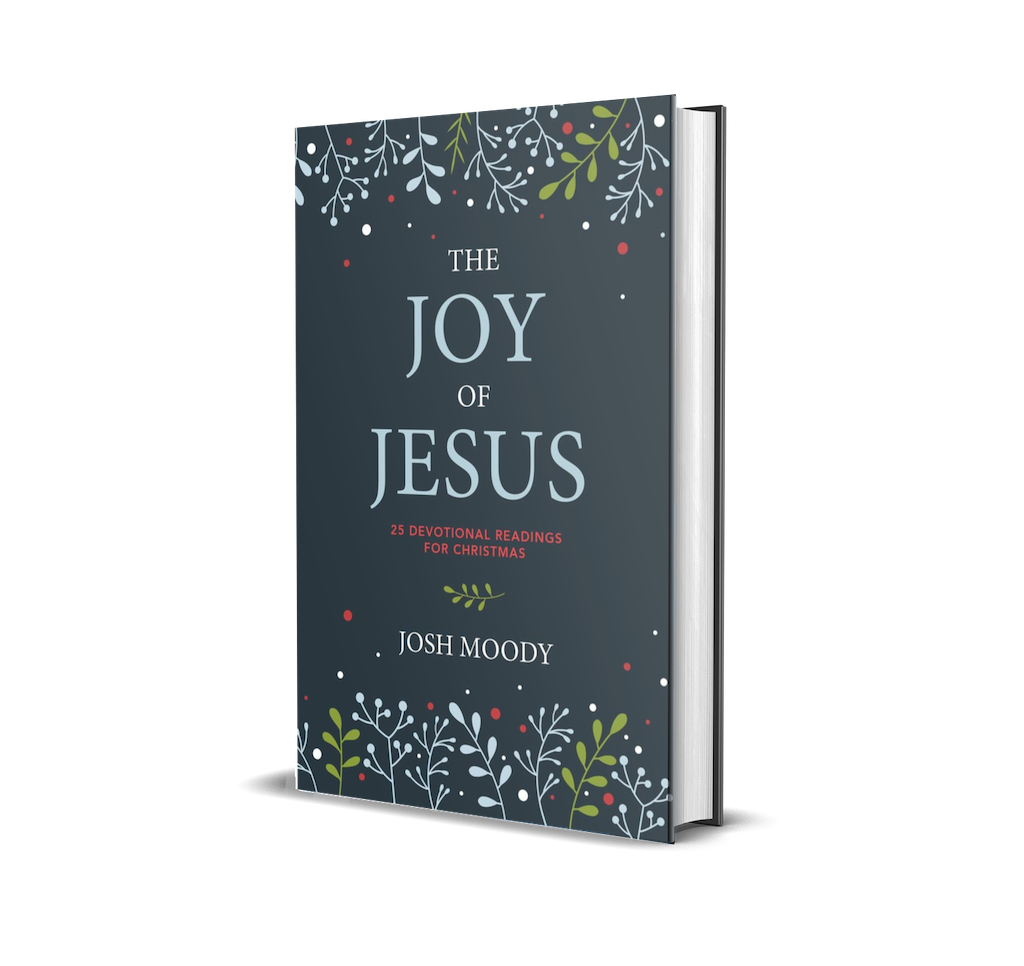 joy of jesus 3d